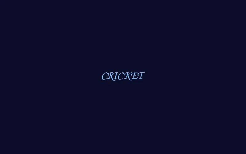 Cricket markets on 11xplay